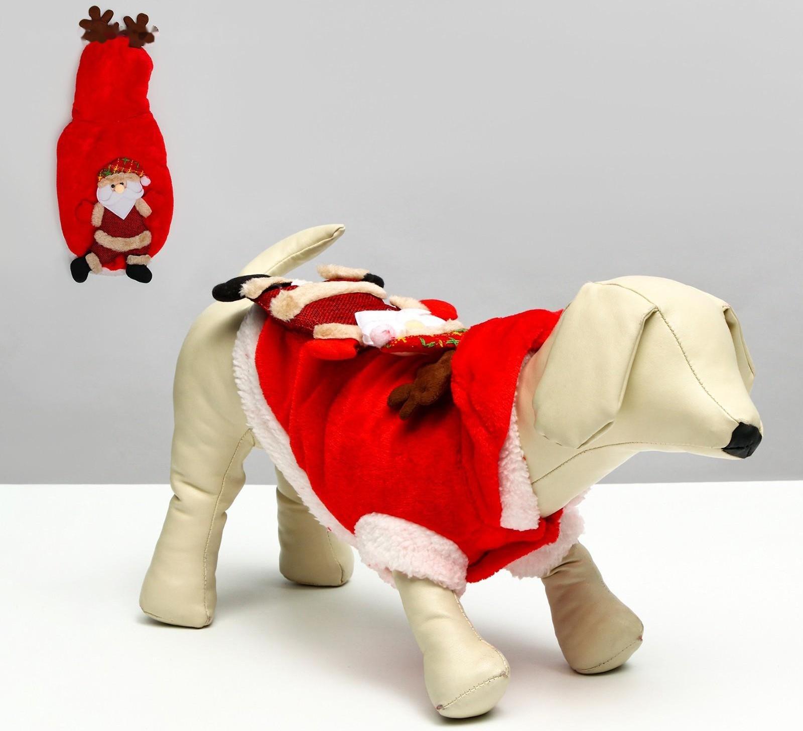 Куртка на кнопочках с меховой отделкой Santa, L (ДС 30, ОГ 42 см)