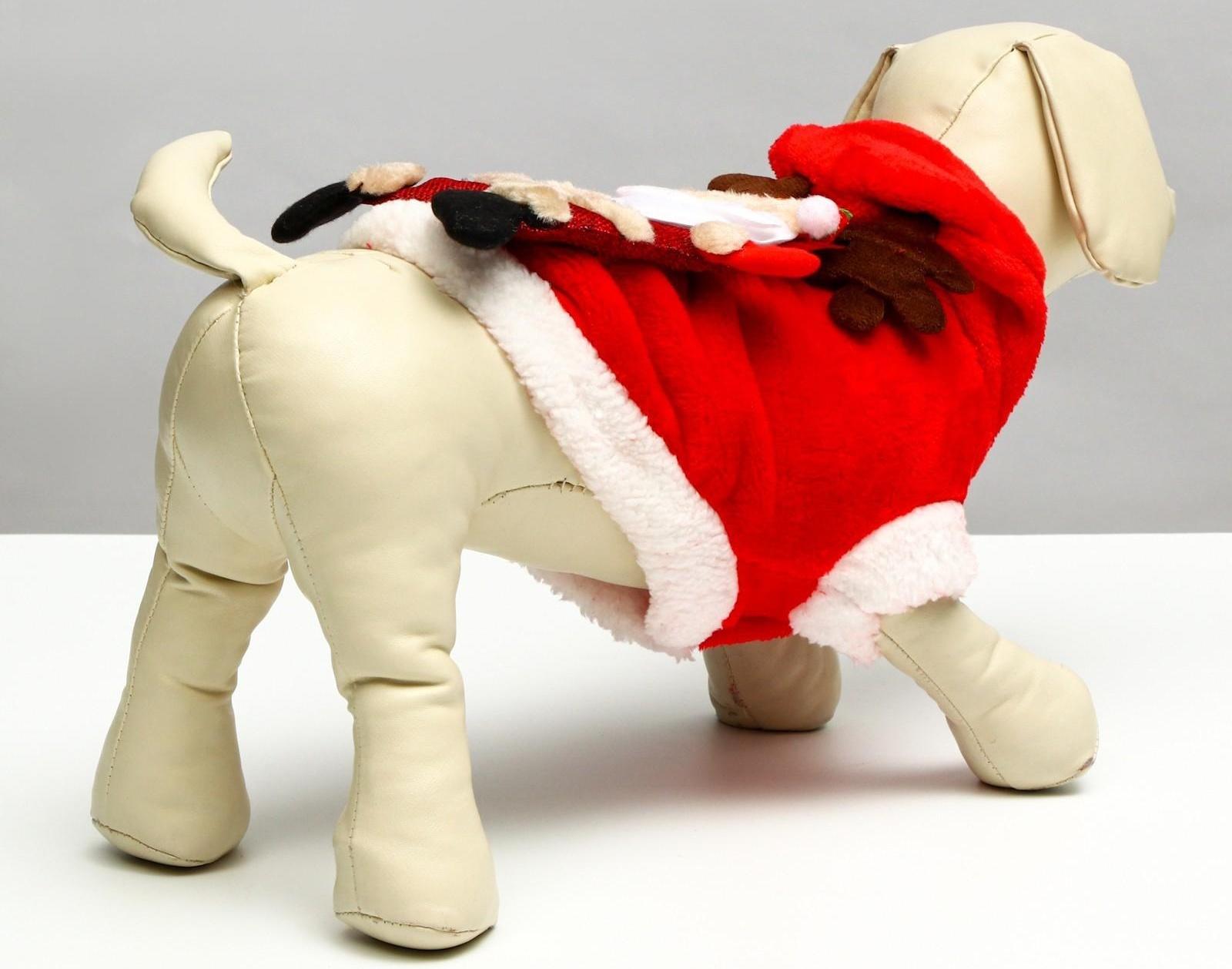 Куртка на кнопочках с меховой отделкой Santa, L (ДС 30, ОГ 42 см)