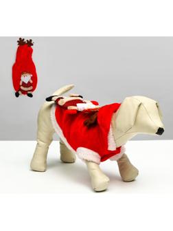 Куртка на кнопочках с меховой отделкой Santa, L (ДС 30, ОГ 42 см)