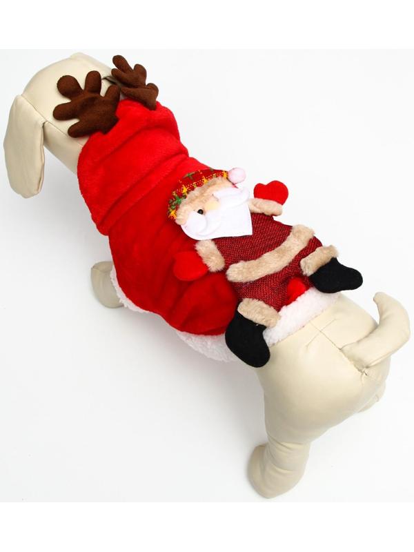 Куртка на кнопочках с меховой отделкой Santa, L (ДС 30, ОГ 42 см)