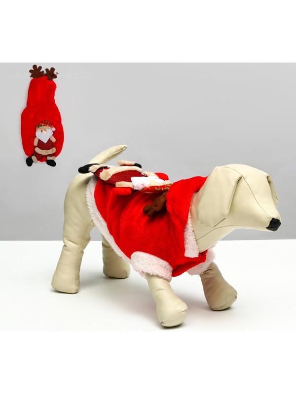 Куртка на кнопочках с меховой отделкой Santa, L (ДС 30, ОГ 42 см)