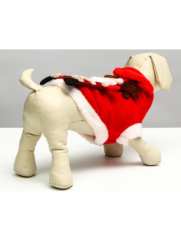 Куртка на кнопочках с меховой отделкой Santa, L (ДС 30, ОГ 42 см)