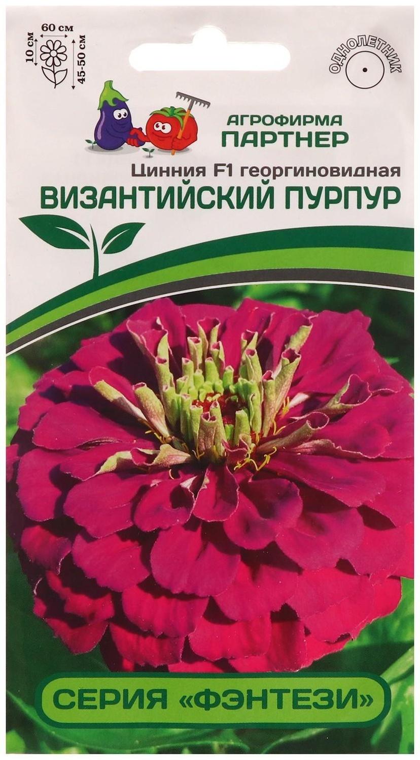 Семена цветов цинния георгиновидная 