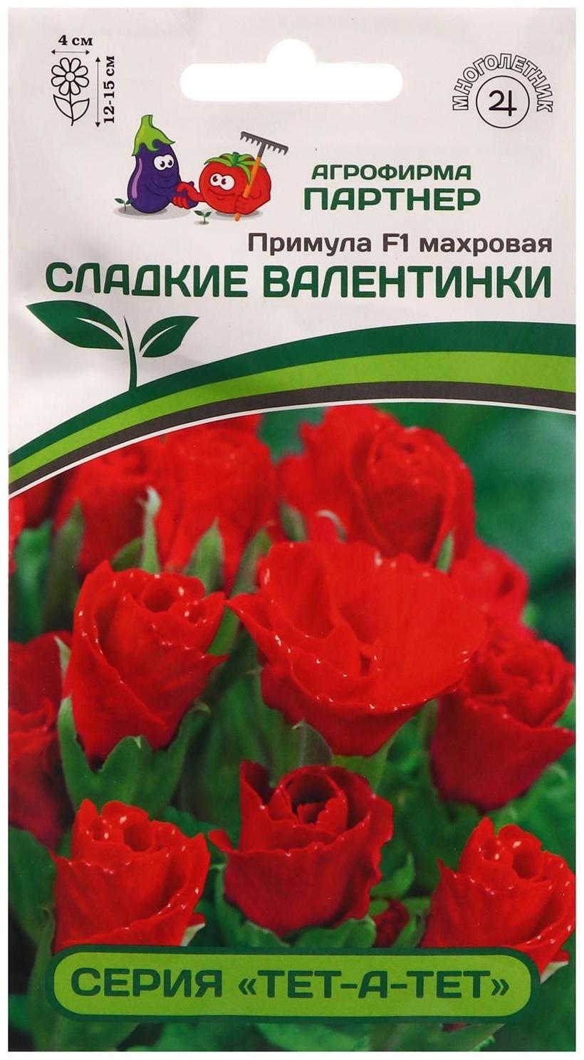 Семена цветов Примула 