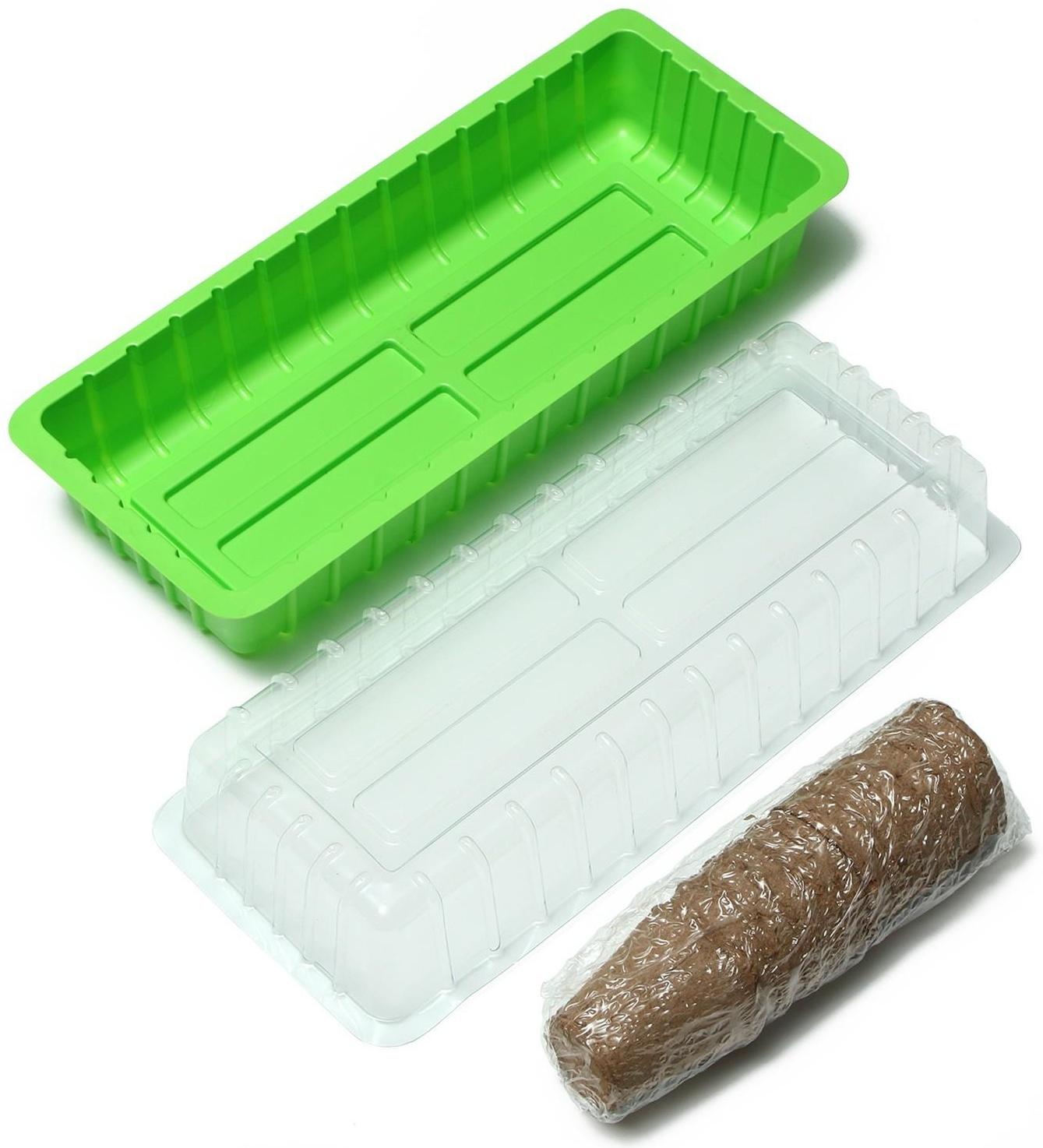 Мини-парник: 36 × 13 × 12 см, торфяной горшок 6,5 × 6,5 см (12 шт.)