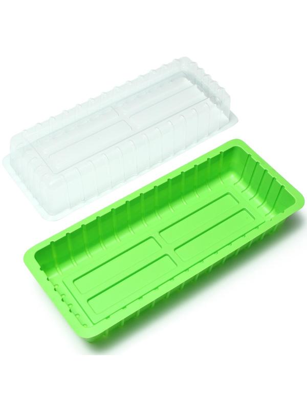 Мини-парник: 36 × 13 × 12 см, торфяной горшок 6,5 × 6,5 см (12 шт.)