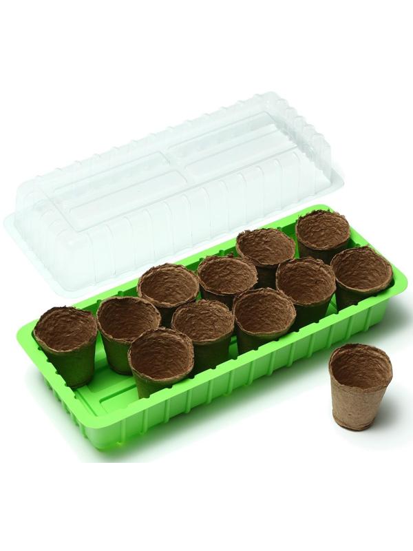 Мини-парник: 36 × 13 × 12 см, торфяной горшок 6,5 × 6,5 см (12 шт.)