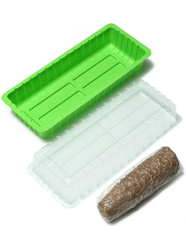 Мини-парник: 36 × 13 × 12 см, торфяной горшок 6,5 × 6,5 см (12 шт.)