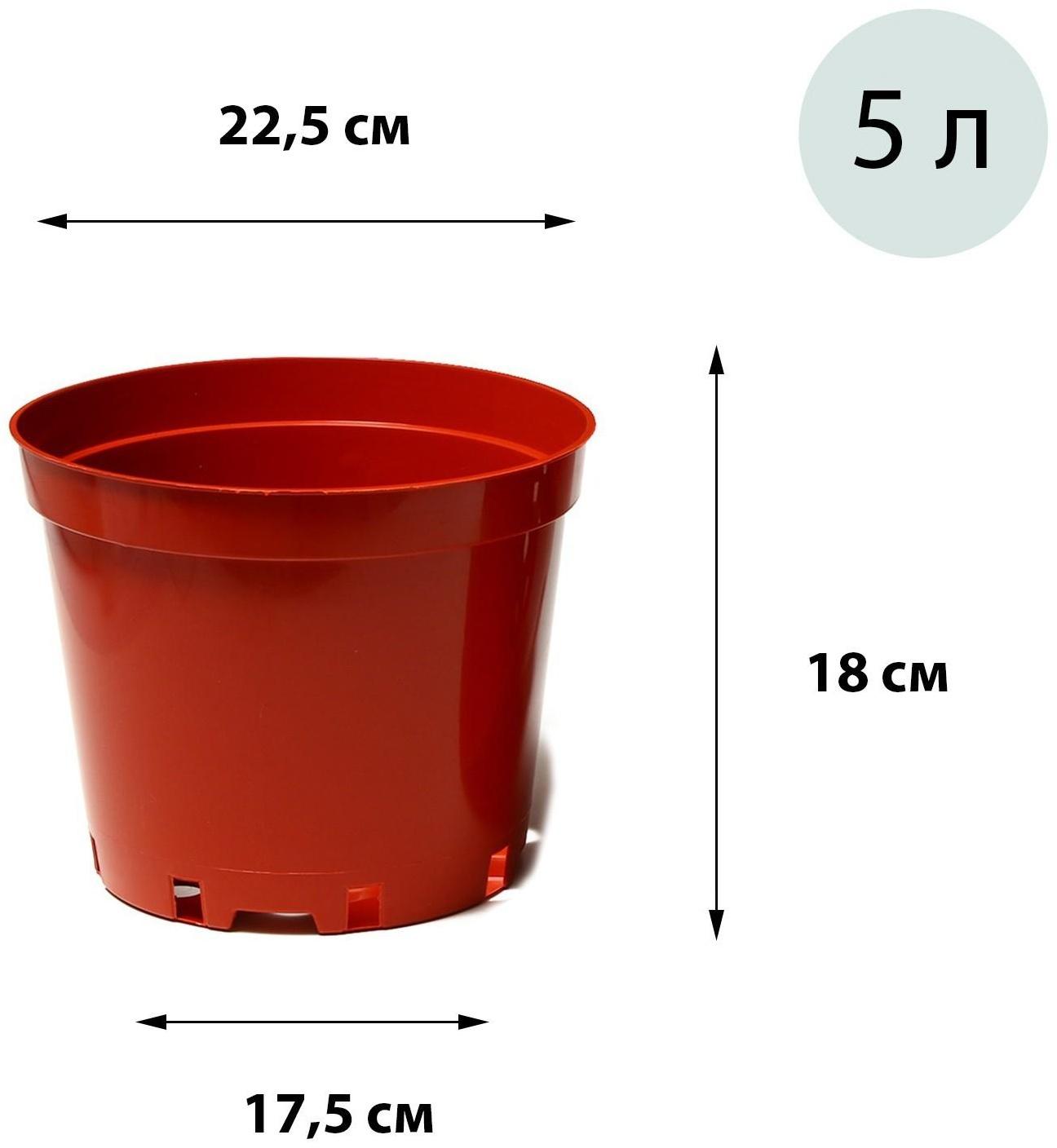Горшок для рассады, 5 л, 22,5 × 22,5 × 18 см, терракотовый, Greengo