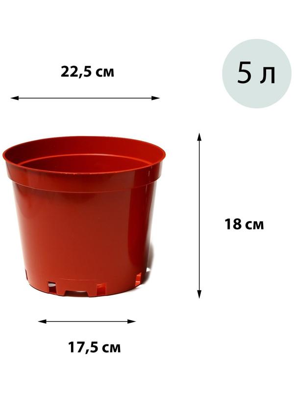 Горшок для рассады, 5 л, 22,5 × 22,5 × 18 см, терракотовый, Greengo
