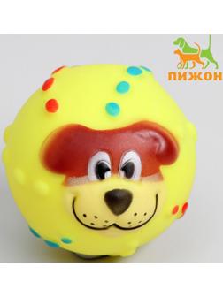 Игрушка пищащая 