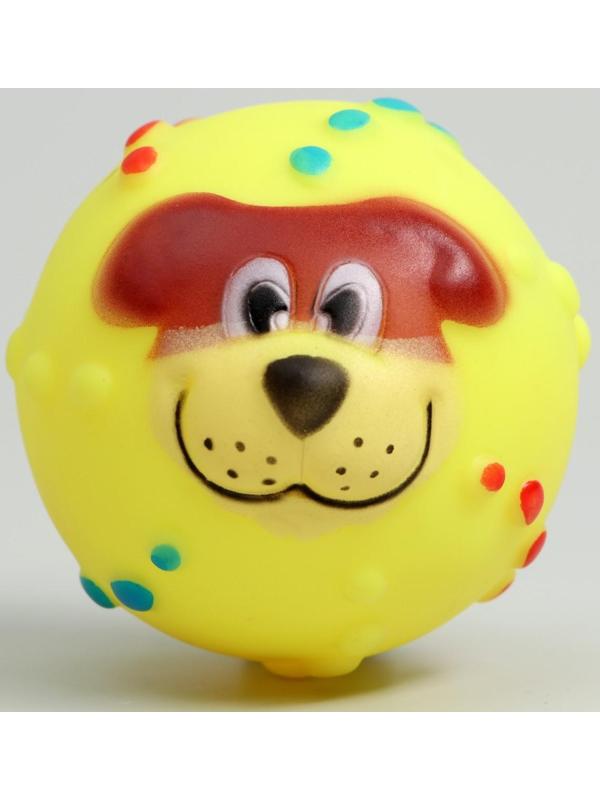 Игрушка пищащая 