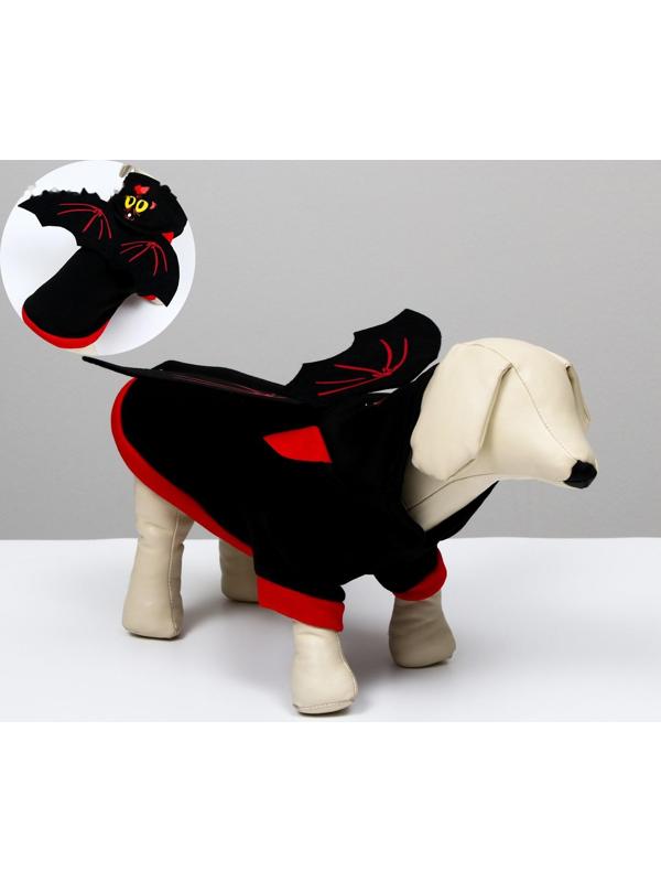 Костюм для хэллоуина 