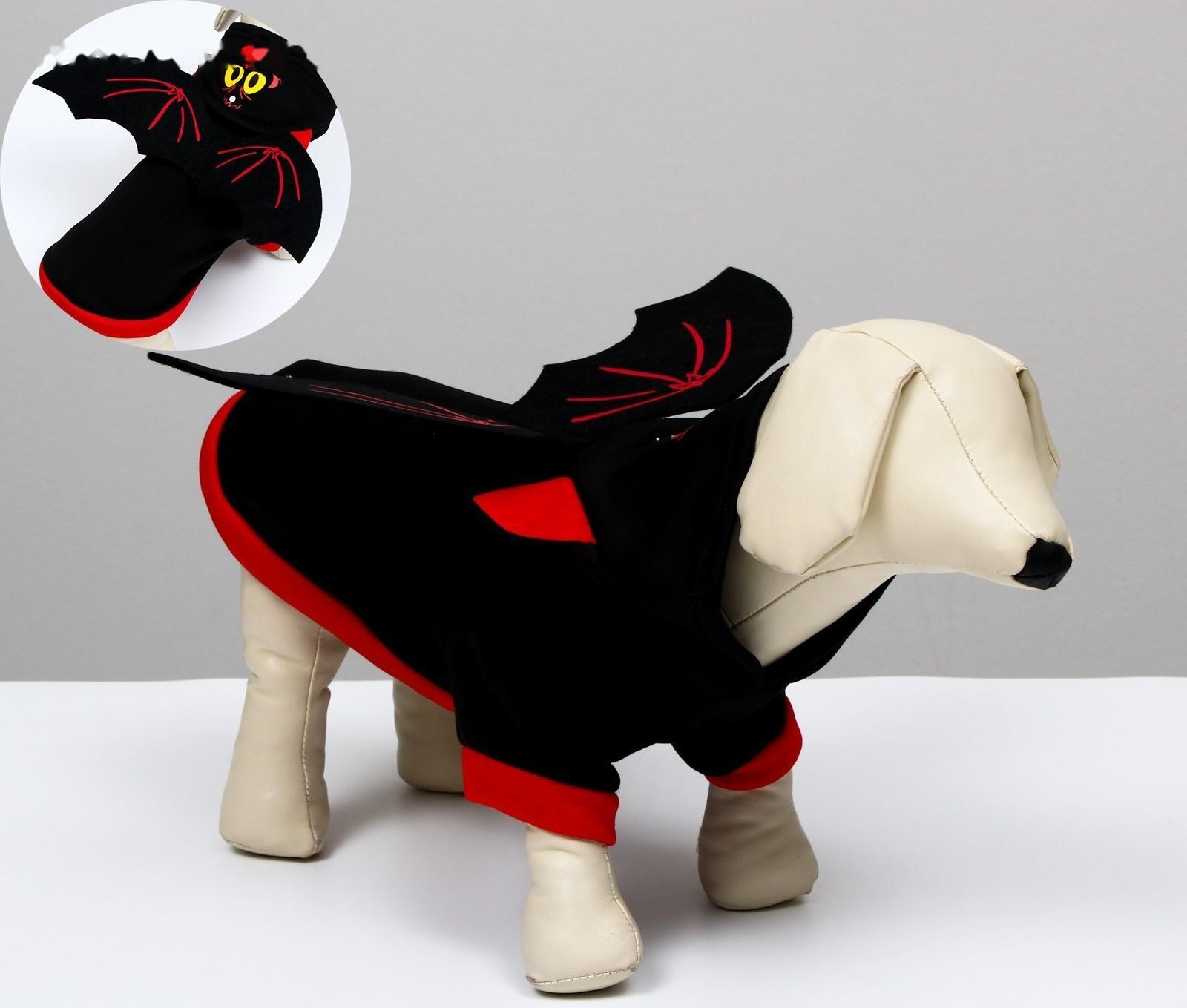 Костюм для хэллоуина 