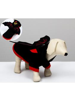 Костюм для хэллоуина 