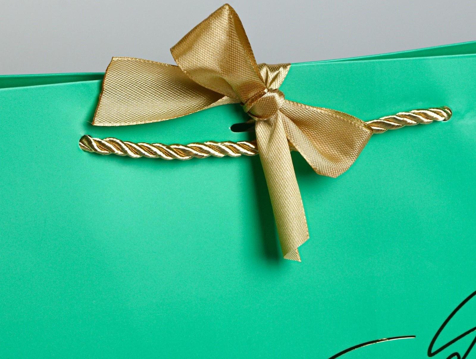 Пакет подарочный «Можно всё», 42 х 27,5 х 12 см