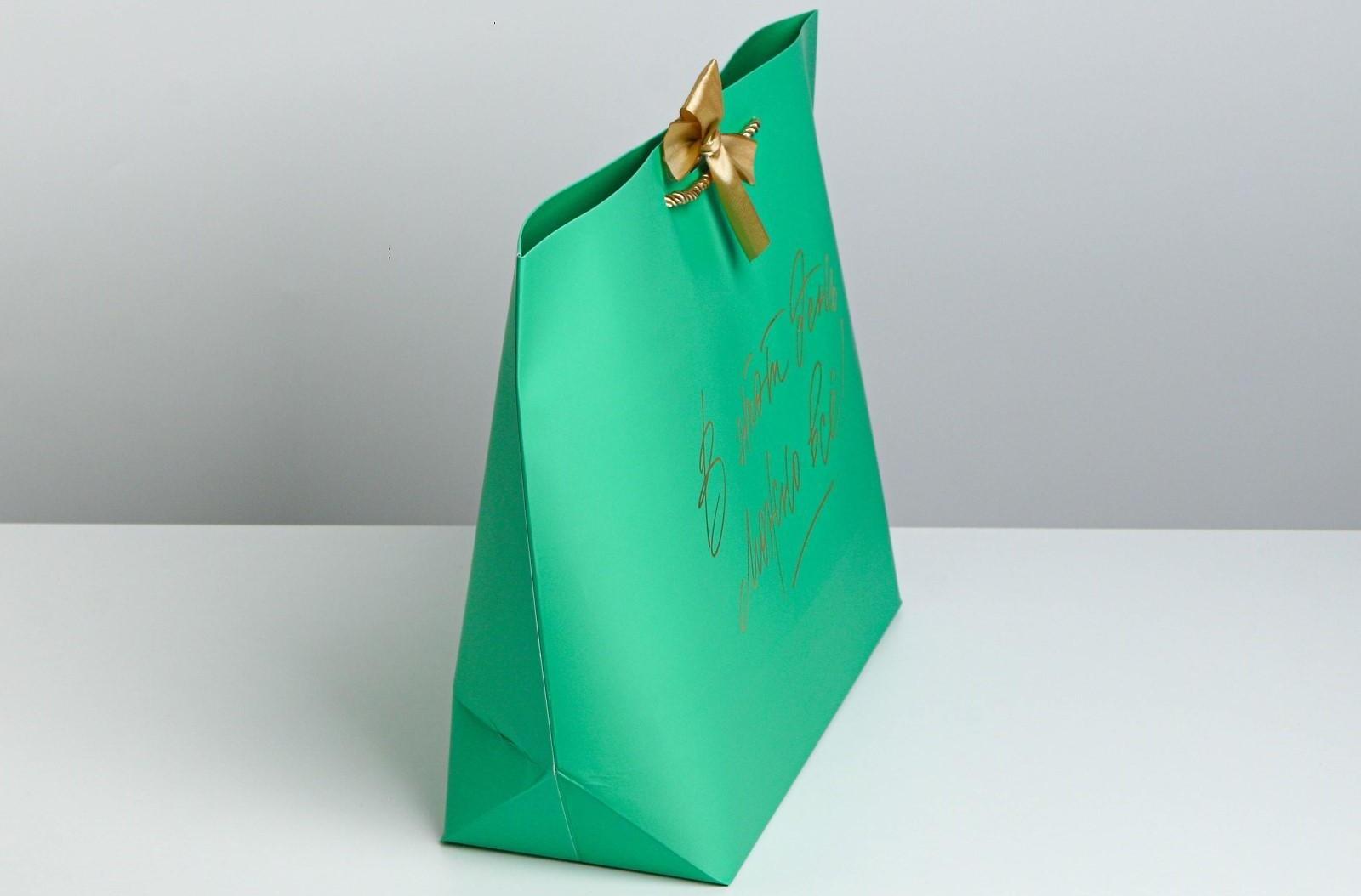 Пакет подарочный «Можно всё», 42 х 27,5 х 12 см