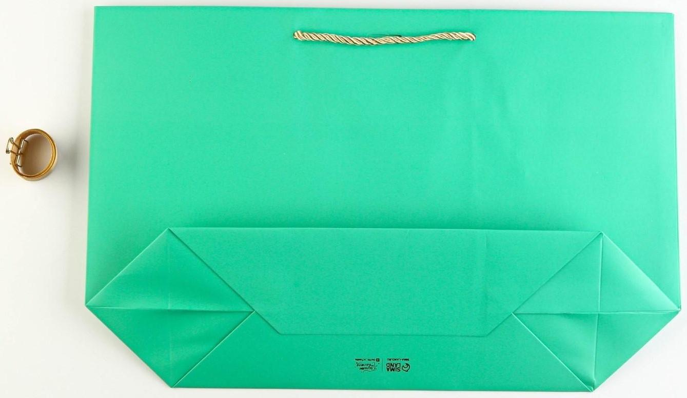 Пакет подарочный «Можно всё», 42 х 27,5 х 12 см