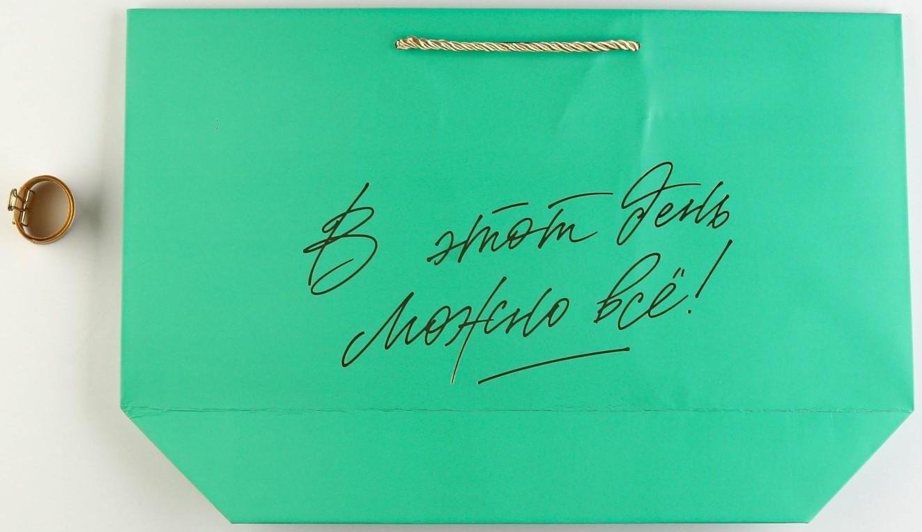 Пакет подарочный «Можно всё», 42 х 27,5 х 12 см