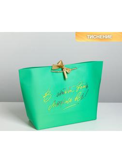 Пакет подарочный «Можно всё», 42 х 27,5 х 12 см