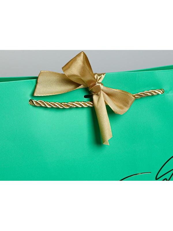 Пакет подарочный «Можно всё», 42 х 27,5 х 12 см