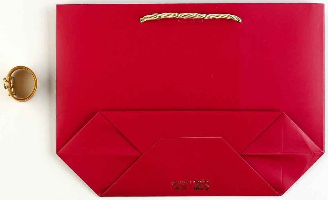 Пакет подарочный «Поздравляю», 28 х 20 х 9 см