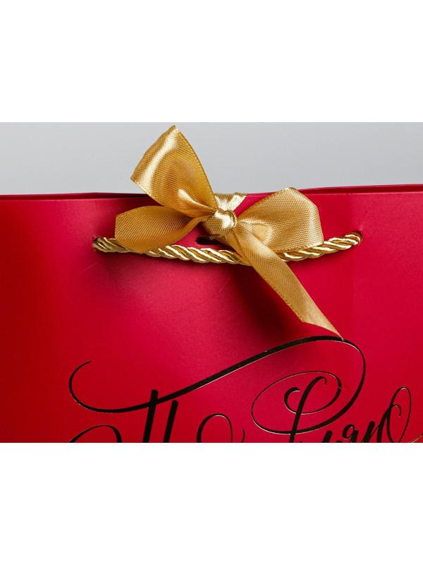 Пакет подарочный «Поздравляю», 28 х 20 х 9 см