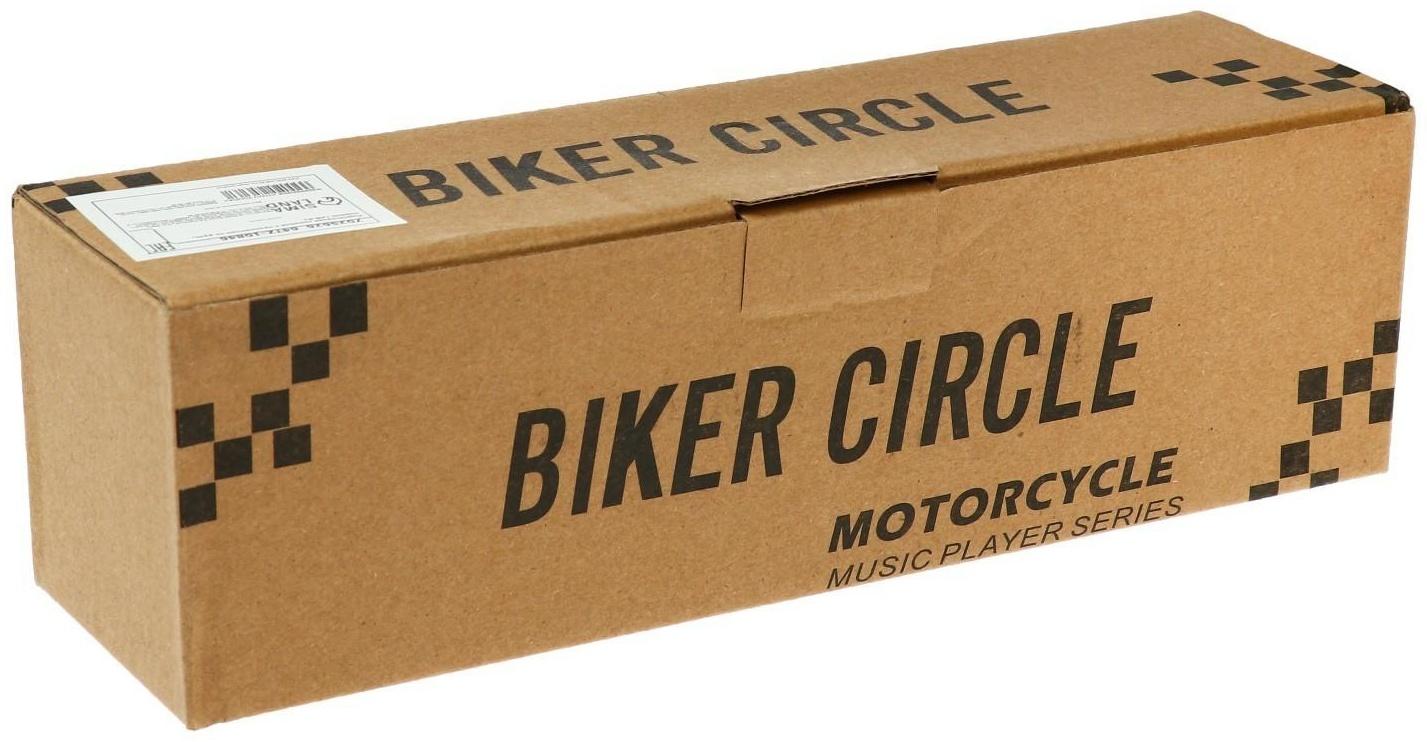 Портативная колонка BT/AUX/USB/MicroSD/FM, IP 65, крепление на руль, серебро