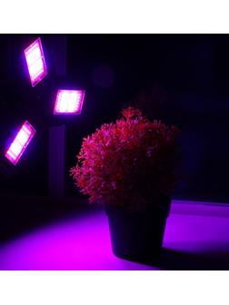 Фитолампа светодиодная, Е27, 30 Вт, 144 Led, 220 В, складная, биколорная