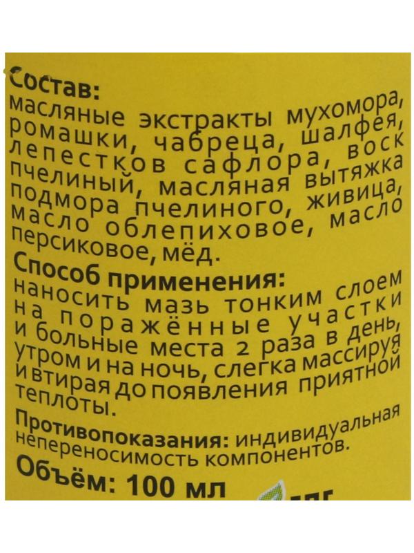 Мазь монастырская Живица и мухомор, Архыз, 100 мл