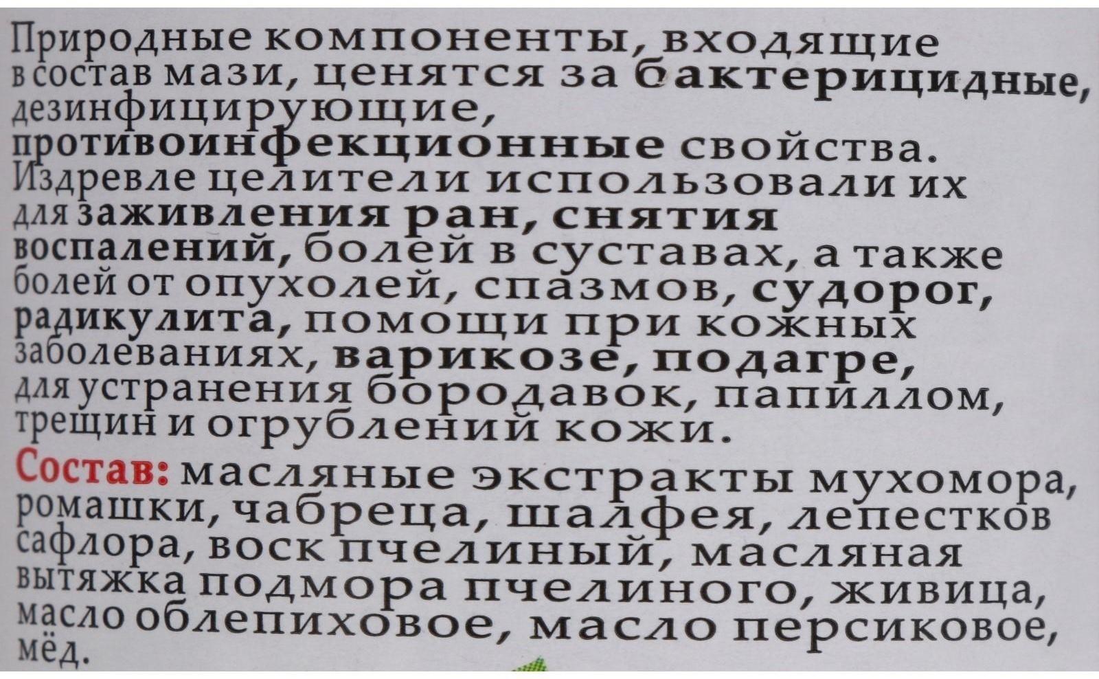 Мазь монастырская Живичная с мухомором, Солох-Аул, 100 мл