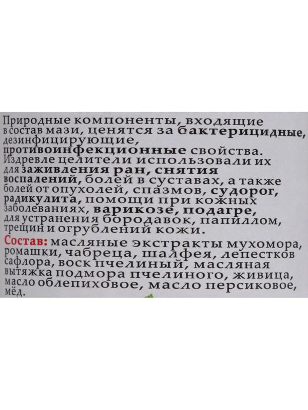 Мазь монастырская Живичная с мухомором, Солох-Аул, 100 мл