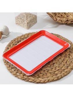 Вакуумный контейнер для хранения продуктов, 20×30×2 см