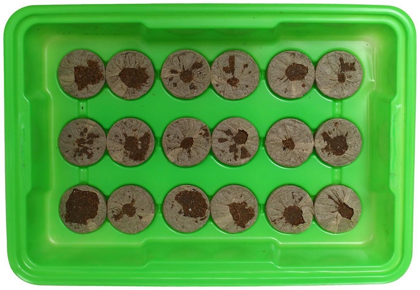 Мини-парник для рассады: торфяная таблетка d = 4,2 см (18 шт), парник 36 × 25 × 13 см, без вставок, зелёный