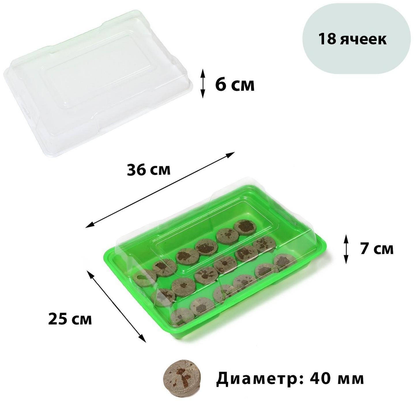 Мини-парник для рассады: торфяная таблетка d = 4,2 см (18 шт), парник 36 × 25 × 13 см, без вставок, зелёный