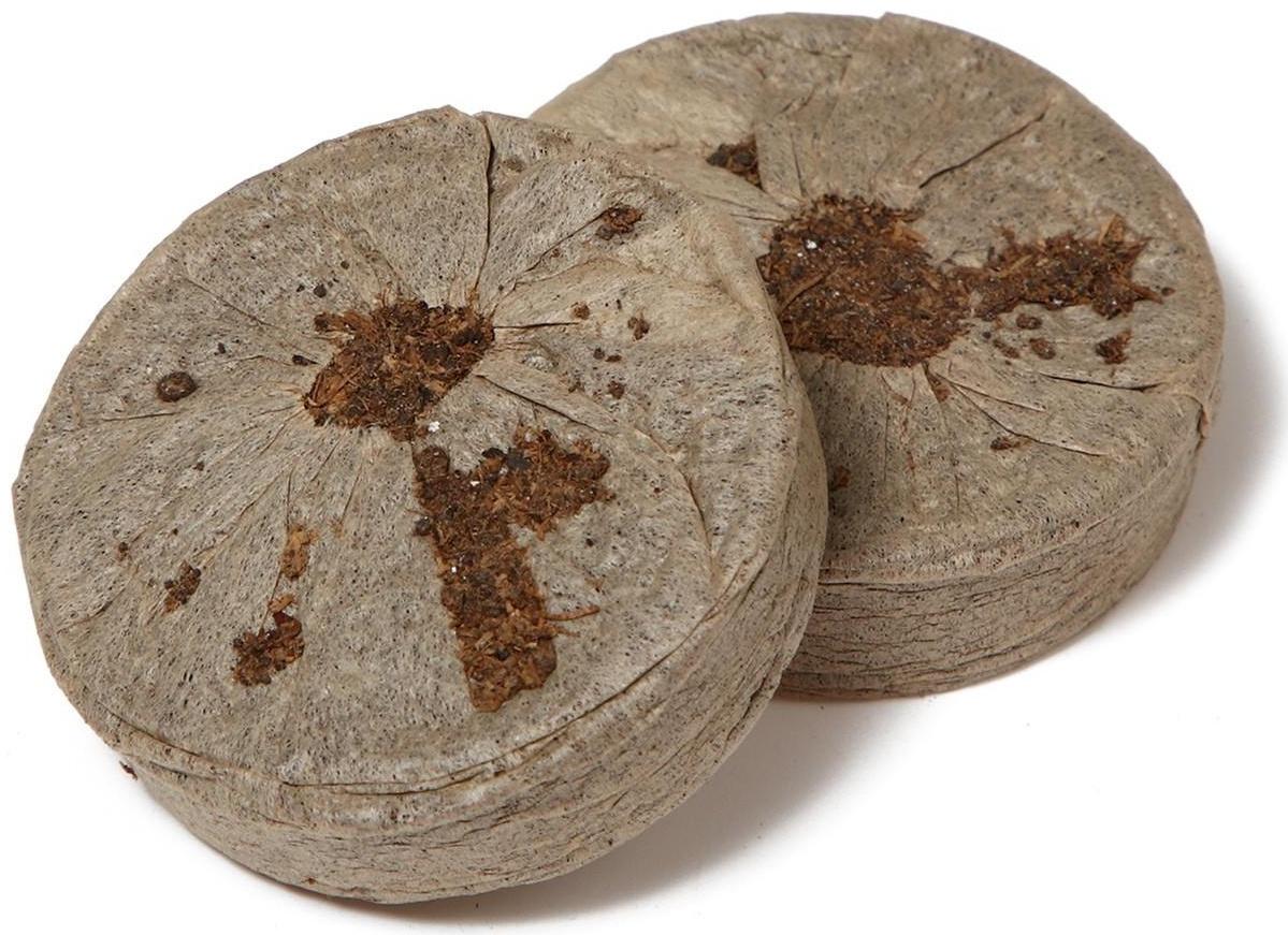 Мини-парник для рассады: торфяная таблетка d = 4,2 см (18 шт), парник 36 × 25 × 13 см, без вставок, зелёный