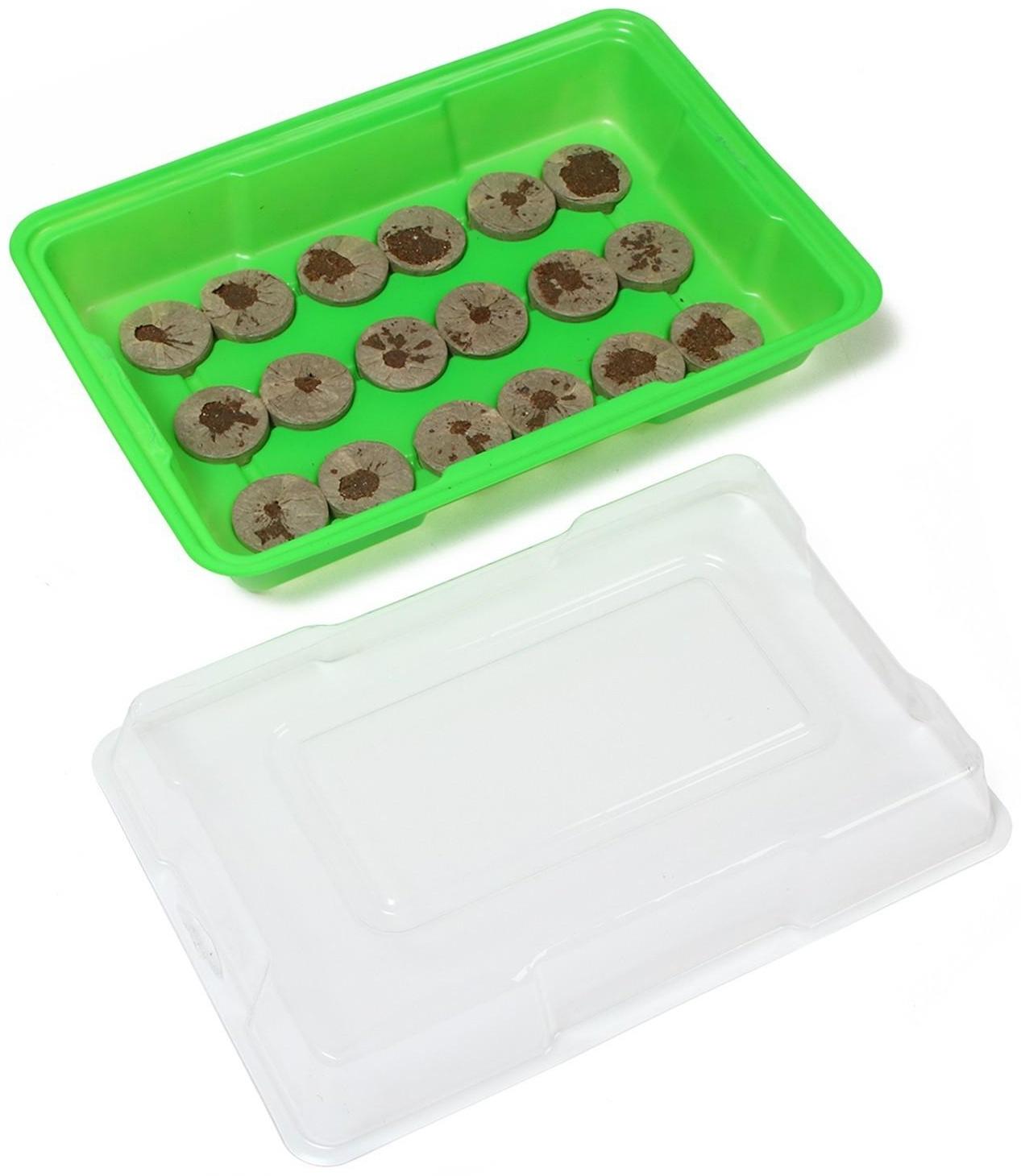 Мини-парник для рассады: торфяная таблетка d = 4,2 см (18 шт), парник 36 × 25 × 13 см, без вставок, зелёный