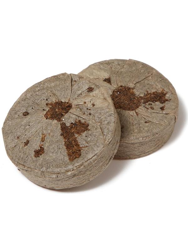 Мини-парник для рассады: торфяная таблетка d = 4,2 см (18 шт), парник 36 × 25 × 13 см, без вставок, зелёный