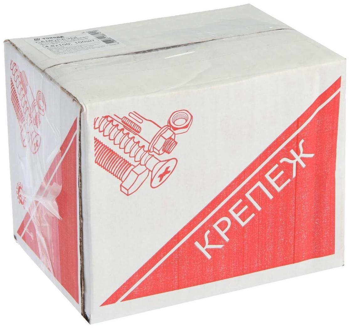 Саморезы гипсокартон-дерево ТУНДРА krep 4.8x100 мм, фосфатированные, 100 шт.