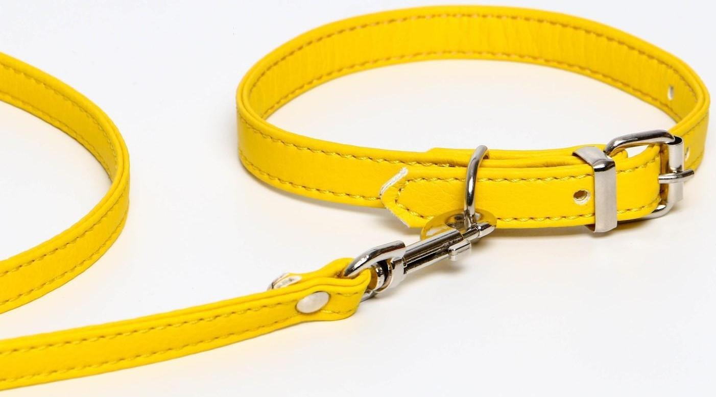 Комплект ошейник (26-34х1.4 см) и поводок (120х1 см) из экокожи, жёлтый