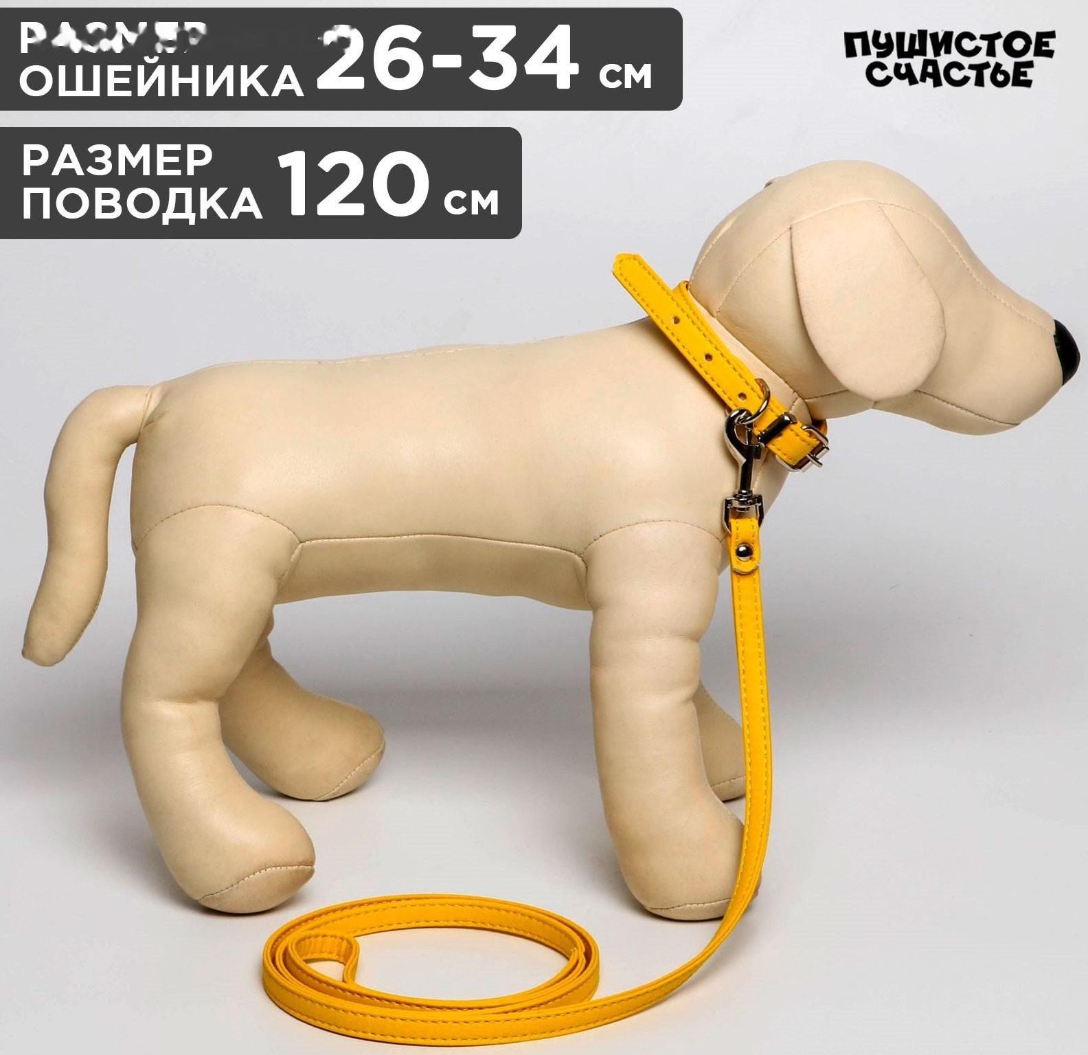 Комплект ошейник (26-34х1.4 см) и поводок (120х1 см) из экокожи, жёлтый