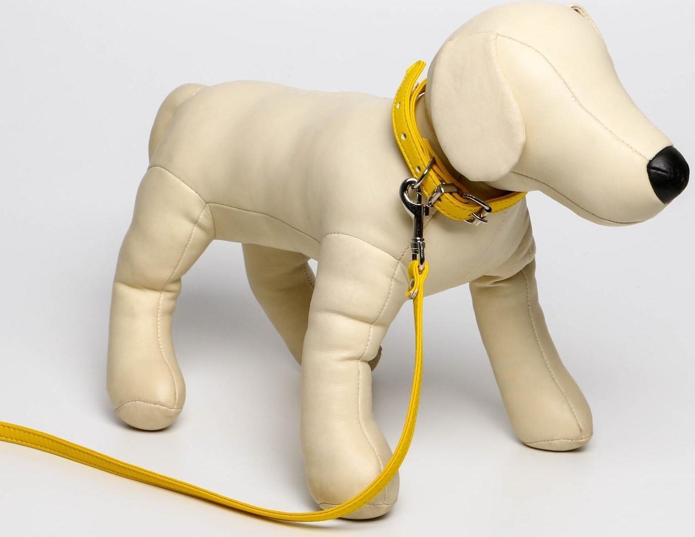 Комплект ошейник (26-34х1.4 см) и поводок (120х1 см) из экокожи, жёлтый