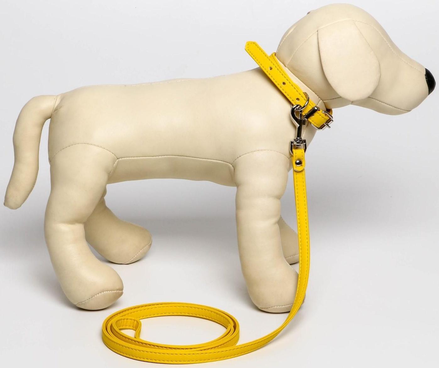 Комплект ошейник (26-34х1.4 см) и поводок (120х1 см) из экокожи, жёлтый