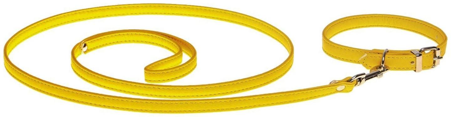 Комплект ошейник (26-34х1.4 см) и поводок (120х1 см) из экокожи, жёлтый
