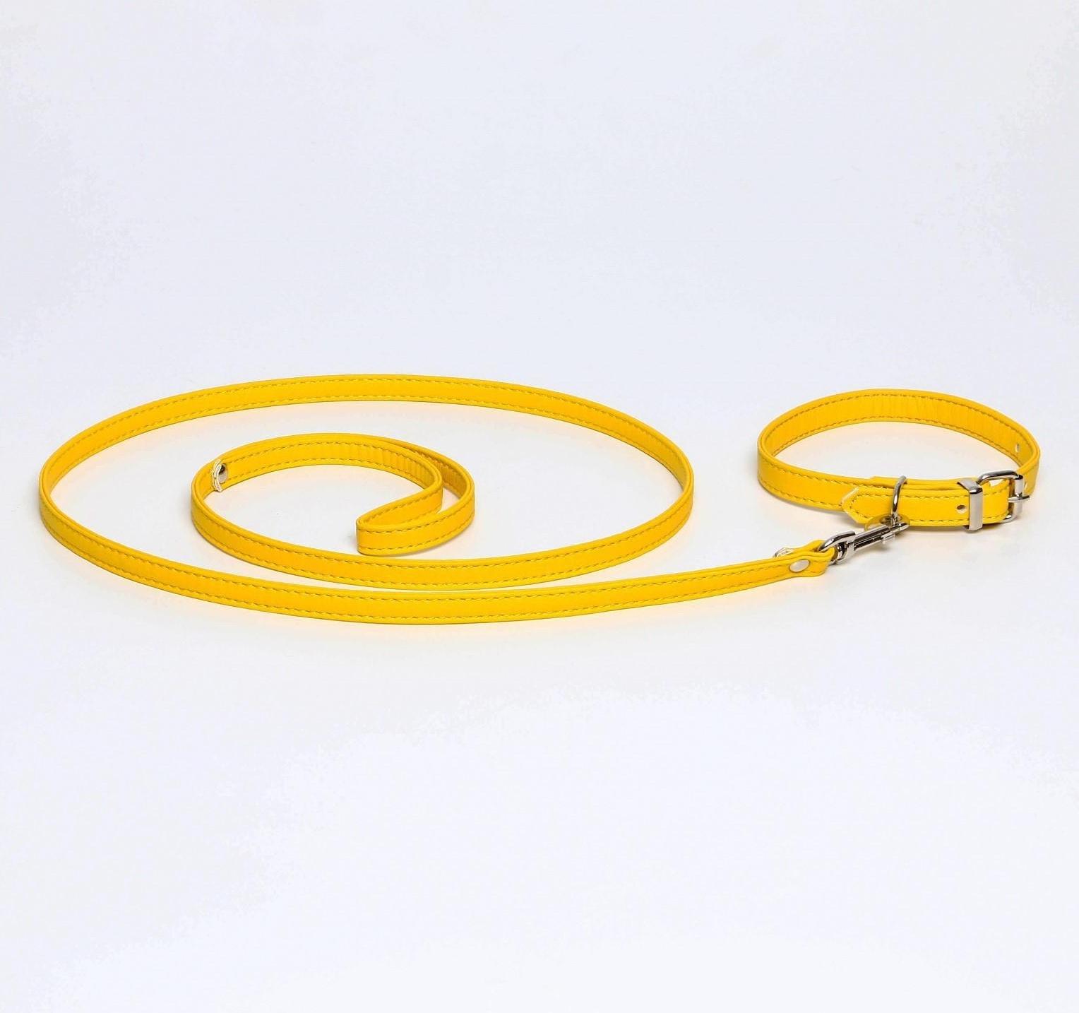 Комплект ошейник (26-34х1.4 см) и поводок (120х1 см) из экокожи, жёлтый