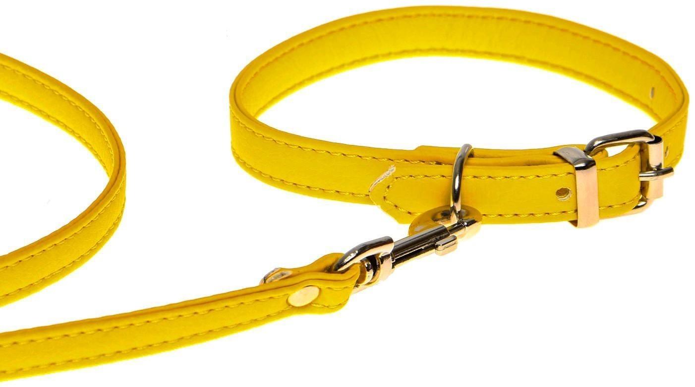 Комплект ошейник (26-34х1.4 см) и поводок (120х1 см) из экокожи, жёлтый
