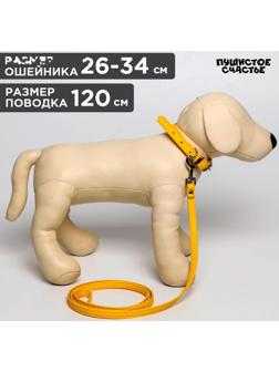 Комплект ошейник (26-34х1.4 см) и поводок (120х1 см) из экокожи, жёлтый