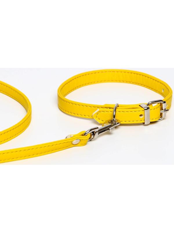 Комплект ошейник (26-34х1.4 см) и поводок (120х1 см) из экокожи, жёлтый