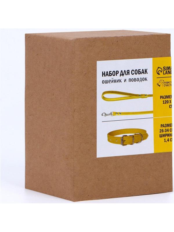 Комплект ошейник (26-34х1.4 см) и поводок (120х1 см) из экокожи, жёлтый