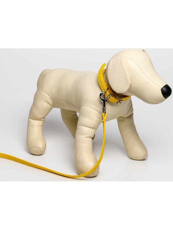 Комплект ошейник (26-34х1.4 см) и поводок (120х1 см) из экокожи, жёлтый